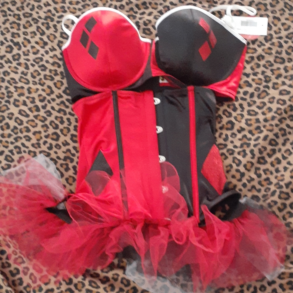 lingerie costume set